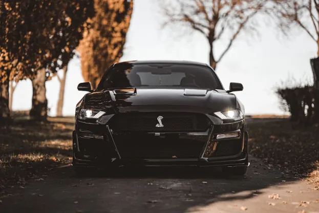 リッパー カジノ Android/iOS アプリ